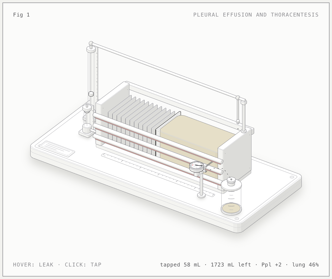 Thoracentesis illustrated bench model